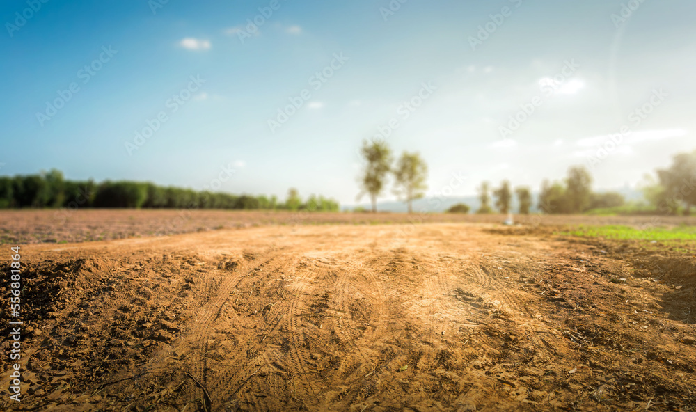 Empty dry cracked swamp reclamation soil, land plot for housing construction project with car tire print in rural area and beautiful blue sky with fresh air Land for sales landscape concept. - obrazy, fototapety, plakaty 