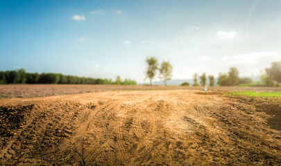 Empty dry cracked swamp reclamation soil, land plot for housing construction project with car tire print in rural area and beautiful blue sky with fresh air Land for sales landscape concept.