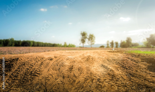 Empty dry cracked swamp reclamation soil, land plot for housing construction project with car tire print in rural area and beautiful blue sky with fresh air Land for sales landscape concept. photo