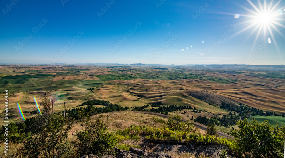 Fototapeta premium nature scenes around steptoe butte park and farmlands