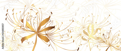 Luxury floral golden line art wallpaper. Elegant gradient gold spider lily flowers pattern background. Design illustration for decorative, card, home decor, website, packaging, print, cover, banner. 