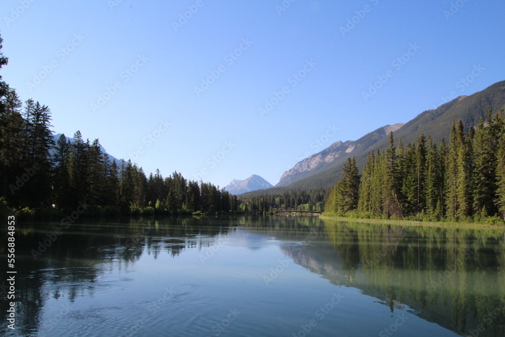 Calm Reflections On Bow River, Banff National Park, Alberta