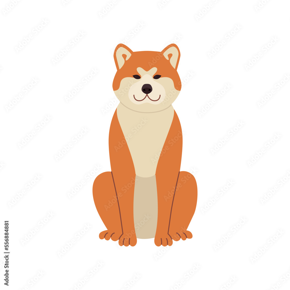 Cute comic shiba inu sitting vector illustration. Dog cartoon character sitting, symbol of 2018 isolated on white background. Pets or domestic animals, New Year concept Cute comic shiba inu sitting vector illustration. Dog cartoon character sitting, symbol of 2018 isolated on white background. Pets or domestic animals, New Year concept