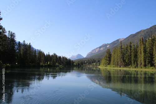 Fototapeta Naklejka Na Ścianę i Meble -  Calm Reflections On Bow River, Banff National Park, Alberta