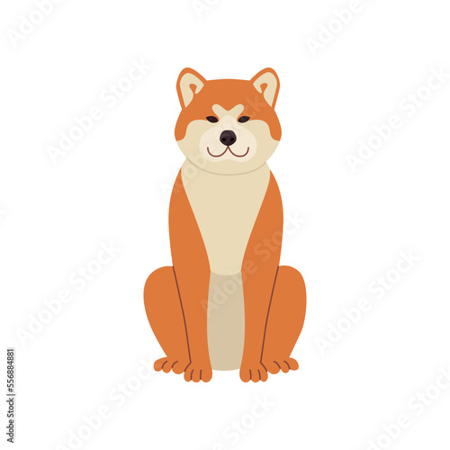 Cute comic shiba inu sitting vector illustration. Dog cartoon character sitting  symbol of 2018 isolated on white background. Pets or domestic animals  New Year concept