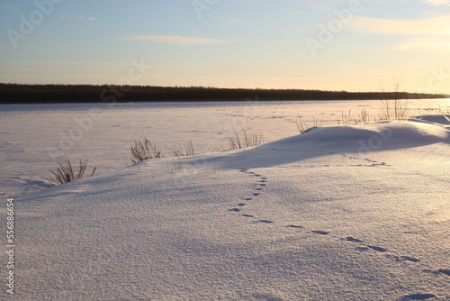 Beautiful winter landscape. Snow and footprints