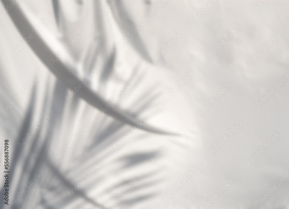 Blurred silk satin textures and shadows shade palm leaves or coconut leaves. Blurred artistic abstract background of white fabric waves and shadows from morning sunlight.