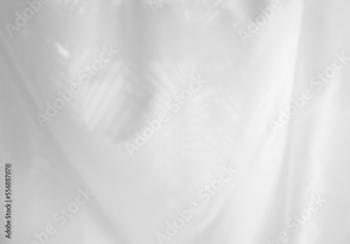 Blurred silk satin textures and shadows shade palm leaves or coconut leaves. Blurred artistic abstract background of white fabric waves and shadows from morning sunlight. © sutthichai