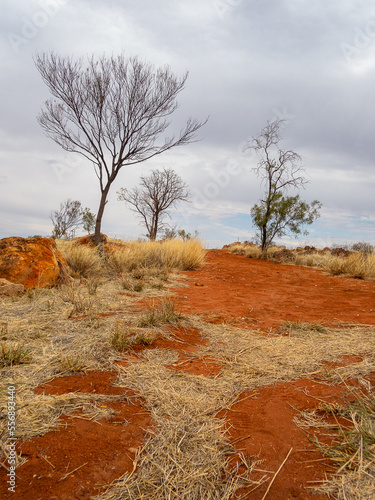 red dirt landscape with bare shrubs and cloudy sky