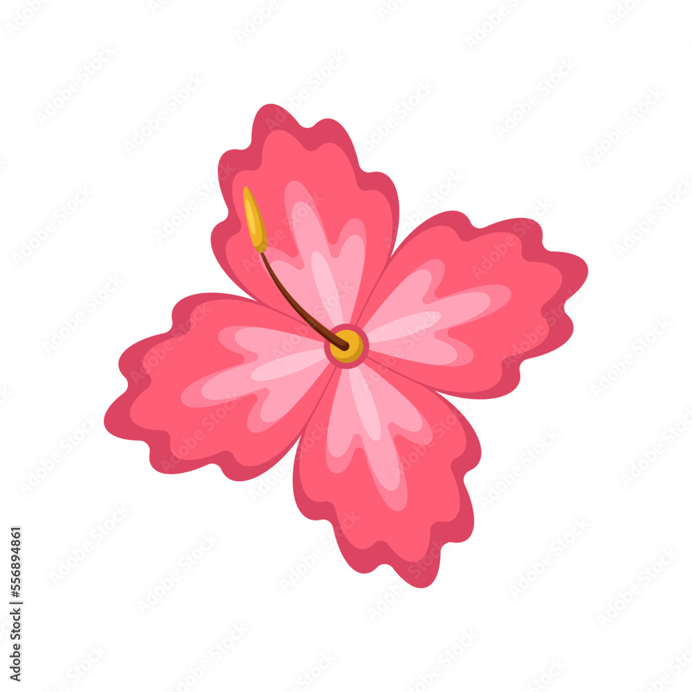 Hibiscus flower vector illustration. Drawing of pink flower. Summer holiday, decoration, nature, paradise, food concept for greeting card