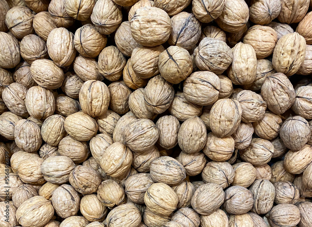 Lot of walnuts as background. Food texture concept Lot of walnuts as background. Food texture concept