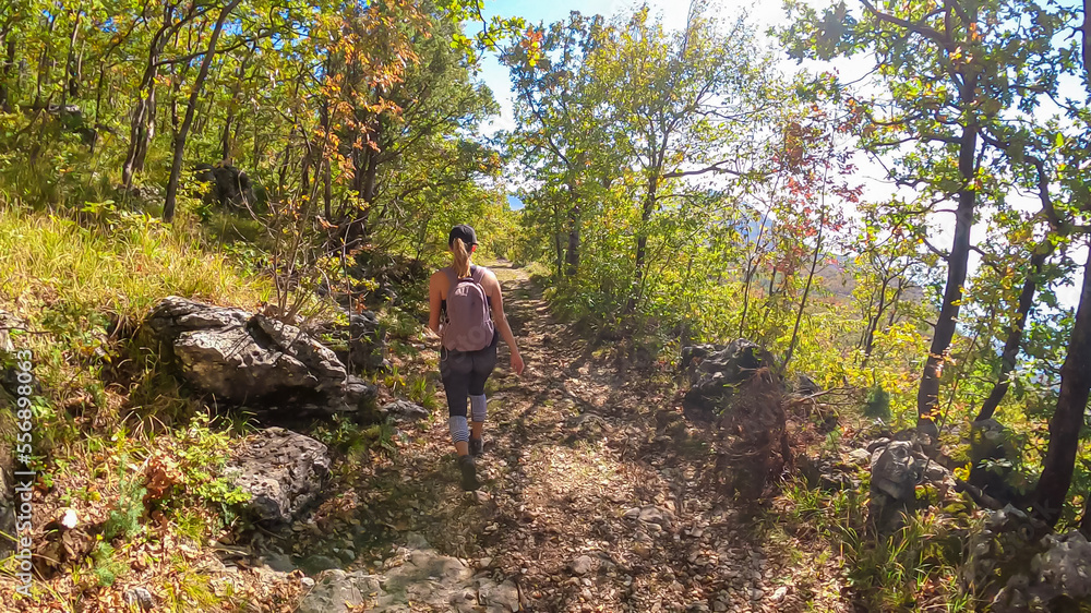 Fototapeta premium Woman with backpack on idyllic hiking trail through dramatic autumn forest from Sveti Stefan to Goli Vrh, Montenegro, Balkan, Europe. Sun beams shining through the plants creating magical atmosphere