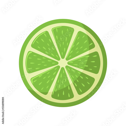 Slice of lime vector illustration. Drawing of lime. Summer holiday, decoration, nature, paradise, food concept for greeting card