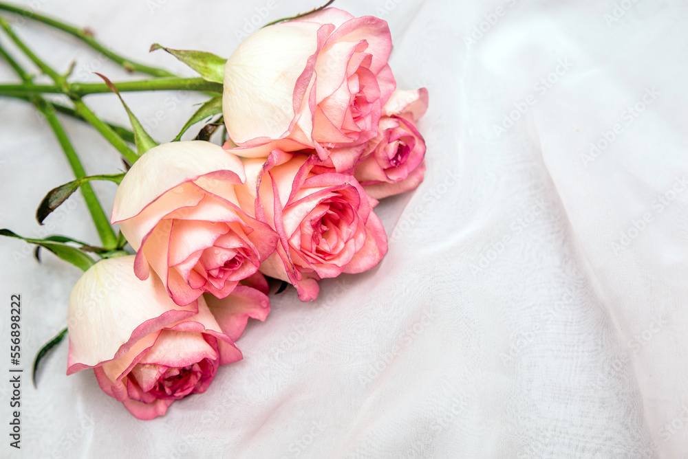 Fototapeta premium The branch of pink roses on white fabric background 