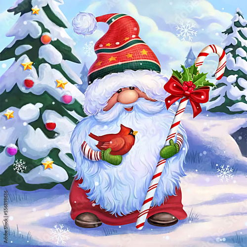 Merry Christmas, gnome and bird