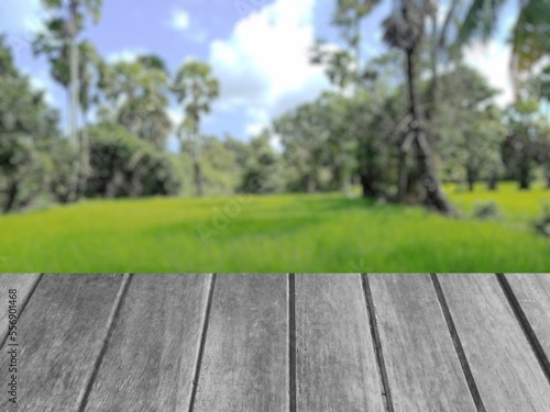 Wooden desk table top and blur rice farm nature of the background illustration 