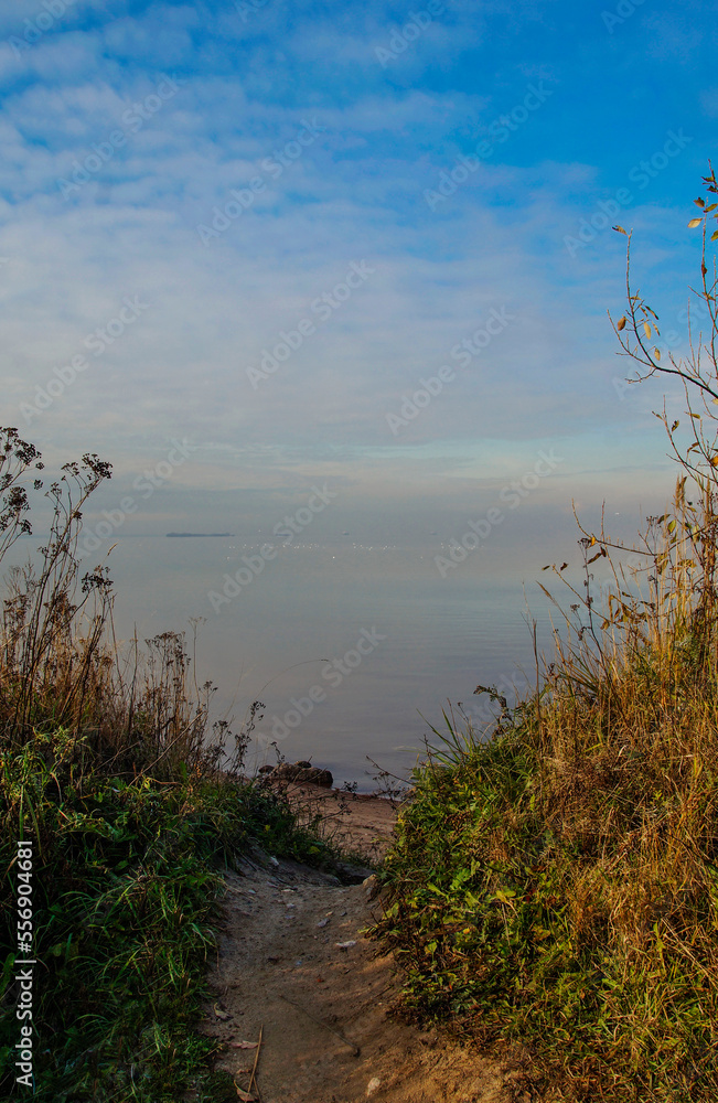 Photo of the coast of the Kanonersky Island in autumn, St. Petersburg Photo of the coast of the Kanonersky Island in autumn, St. Petersburg