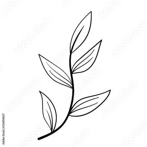 botanical line icon © patungkead