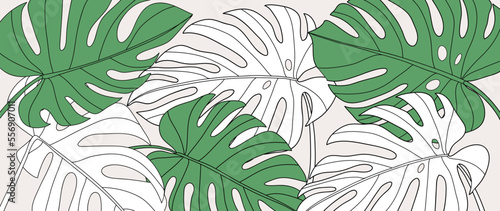 Botanical foliage line art background vector illustration. Tropical monstera leaves pattern background line art. Design for wallpaper, home decor, website, packaging, print, poster, cover, banner.