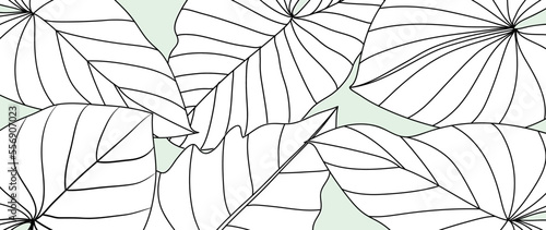 Botanical foliage line art background vector illustration. Tropical palm leaves pattern background line art. Design for wallpaper, home decor, website, packaging, print, poster, cover, banner.
