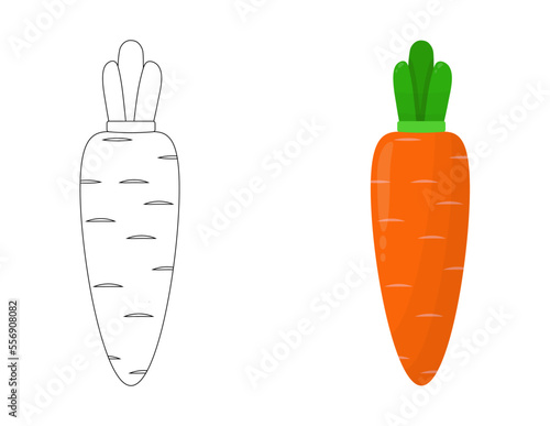 A set of carrots. Contoured and Orange carrots with tops. Flat
