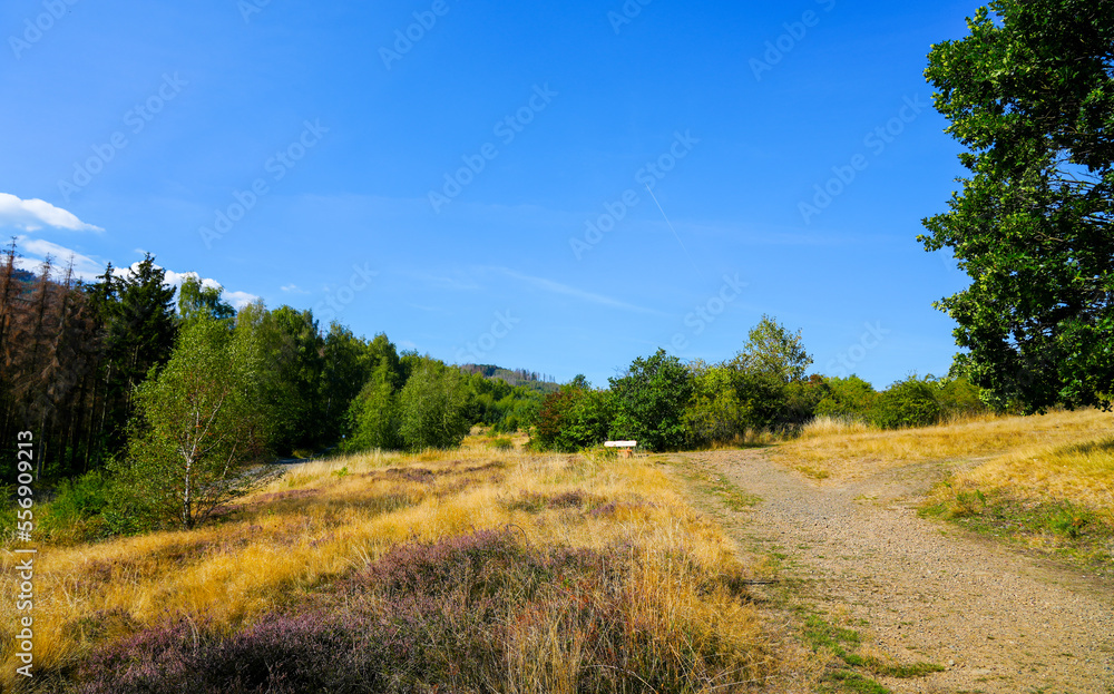 Landscape near Oker. Green nature near Goslar in the Harz mountains.
Landscape near Oker. Green nature near Goslar in the Harz mountains.