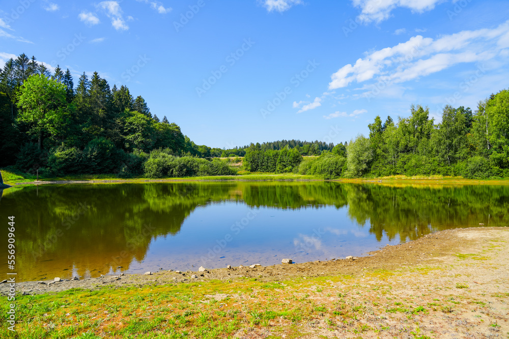 Middle colliery pond near Clausthal-Zellerfeld. Small lake in the Harz mountains with the surrounding landscape. Green nature at the pond.
