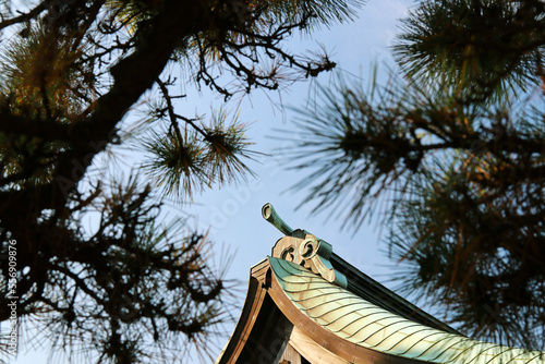 Japanese Kamakura Period shrine roof design. With pine branch hangs like an ukiyo-e picture. photo