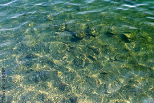 Sun shining clear water surface texture photograph.