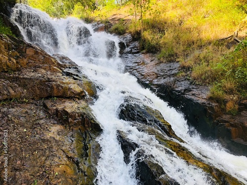 waterfall in the forest