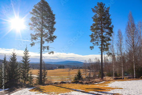 Landscape scenery, view at agricultural fields and smelting snow in a sunny spring day in April