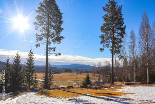 Landscape scenery, view at agricultural fields and smelting snow in a sunny spring day in April
