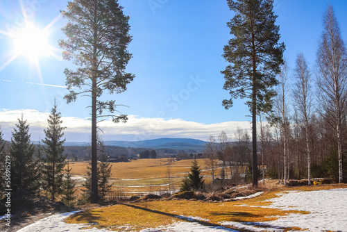 Landscape scenery, view at agricultural fields and smelting snow in a sunny spring day in April