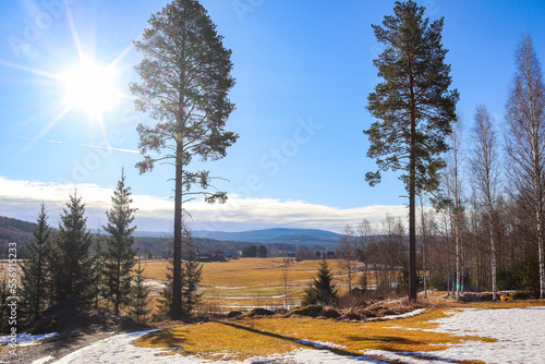 Landscape scenery, view at agricultural fields and smelting snow in a sunny spring day in April