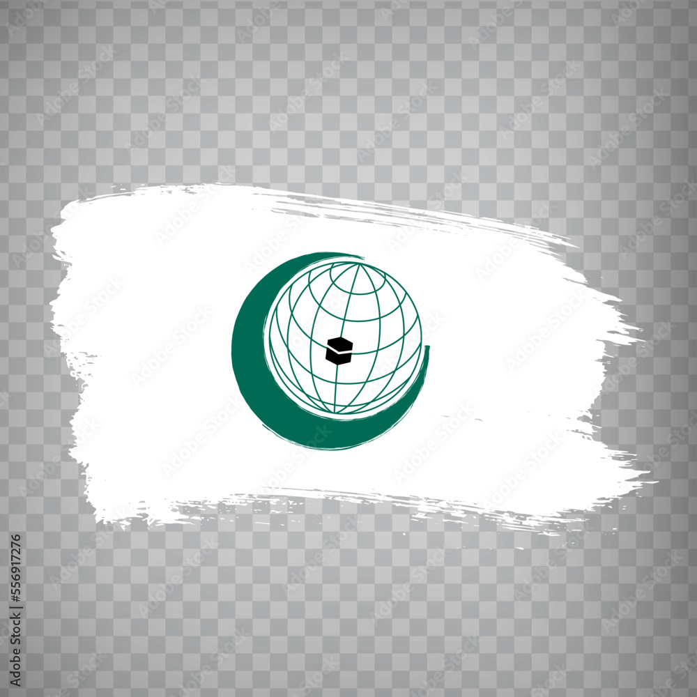 Flag Organisation of Islamic Cooperation brush strokes. Flag of