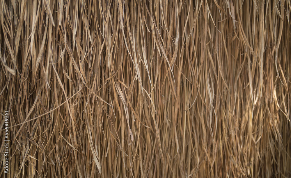 Close up of hay straw dry grass surface in rural countryside. Nature pattern texture background. Close up of hay straw dry grass surface in rural countryside. Nature pattern texture background.