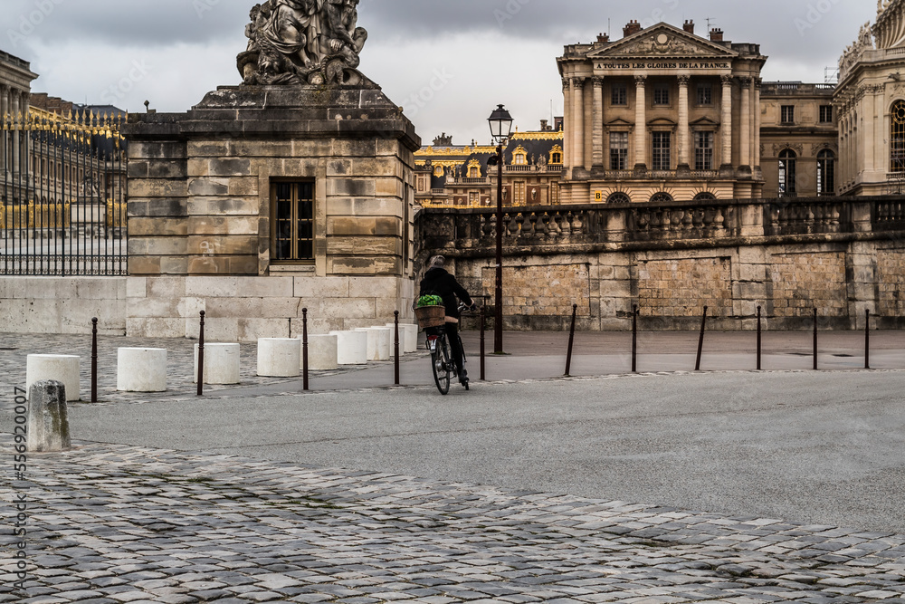 Fototapeta premium view of the roman forum city