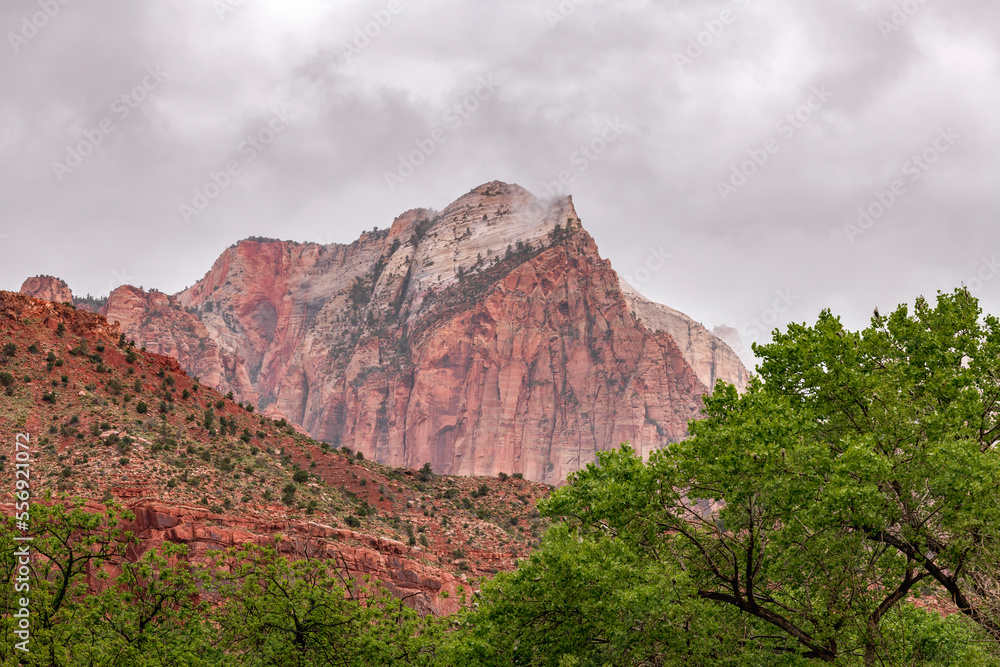 Rainy view of Zion red rocks