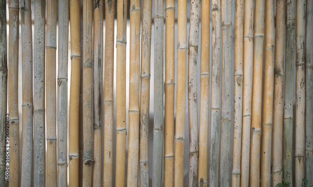 Fototapeta premium Traditional woven wood bamboo rattan or timber pattern nature texture strips for furniture material. Bamboo weaving background