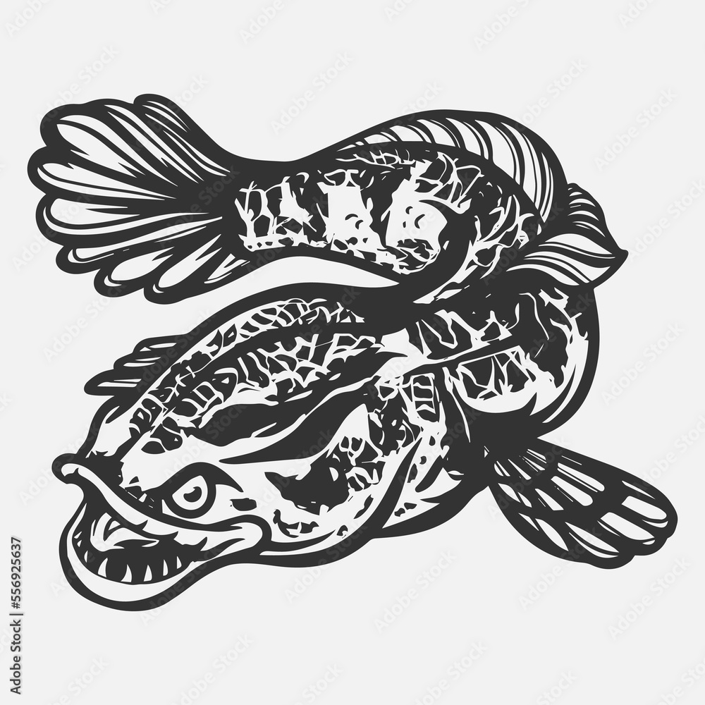 Fototapeta premium Easy to use isolated channa fish vector illustration with stunning details. best pet fish clip art. tropical country snakehead illustration