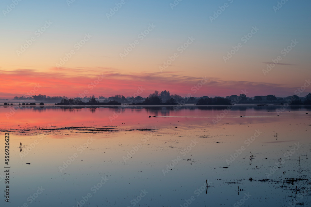 Spectacular blue.pink landscape at dawn in a pond in the Doana National Park, next to El Roco, Huelva, Spain
