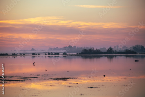 Spectacular pink landscape at dawn in a pond in the Doana National Park, next to El Roco, Huelva, Spain photo