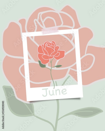 Minimalist flat floral illustration of red rose. June concept theme, flower in modern muted colors. Trendy calendar, summer season.