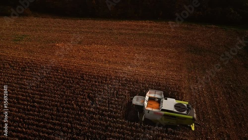 combine harvester working in a wheat field