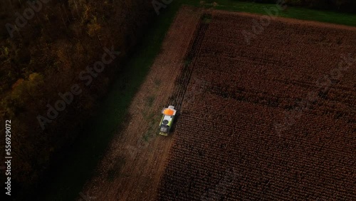 combine harvester working in a wheat field