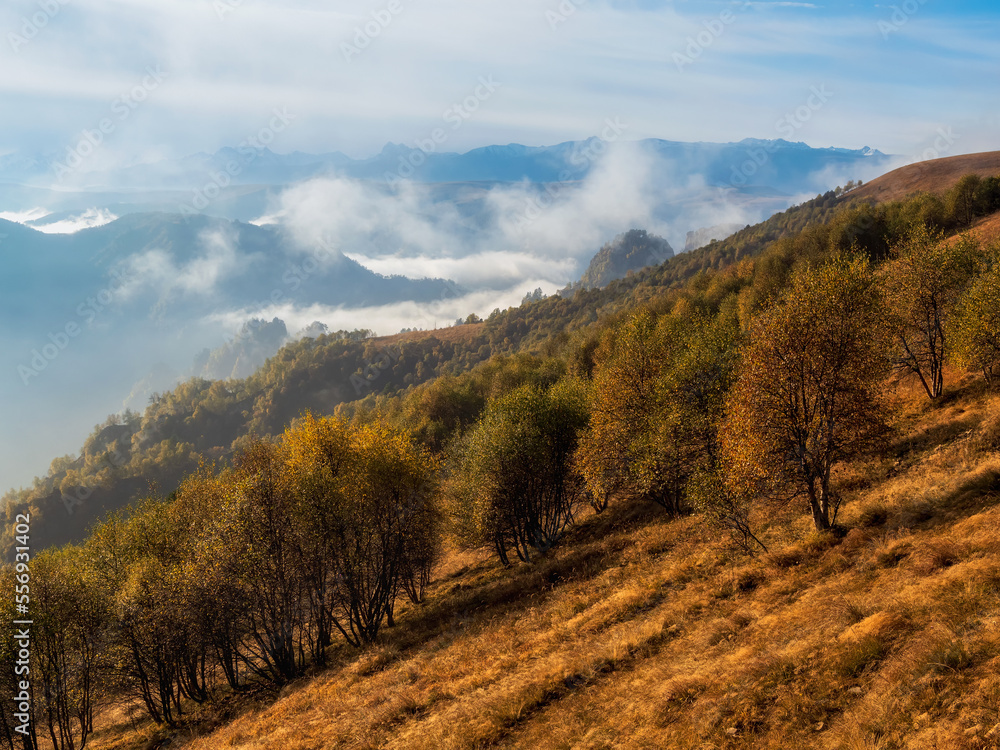 Misty autumn scenery with forest hills in sunlight. Picturesque autumn mountains. Low clouds fill the picturesque mountain valley.
