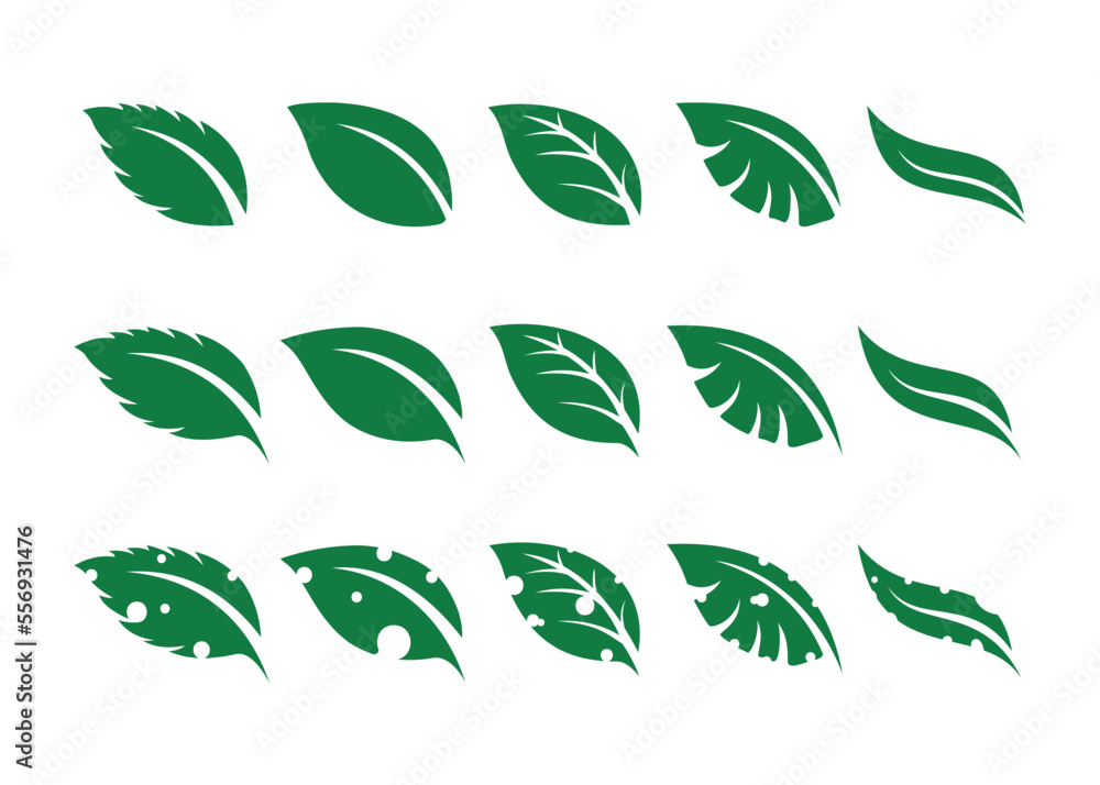 leaf vector for nature, leaf Icon Eps, leaf icon, vector leaf, leaf logo, logo leaf, leaf pack, leaf icon pack in green color leaf vector for nature, leaf Icon Eps, leaf icon, vector leaf, leaf logo, logo leaf, leaf pack, leaf icon pack in green color