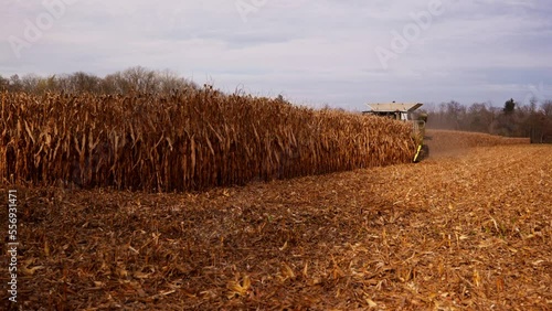 Harvesting wheat field in autumn