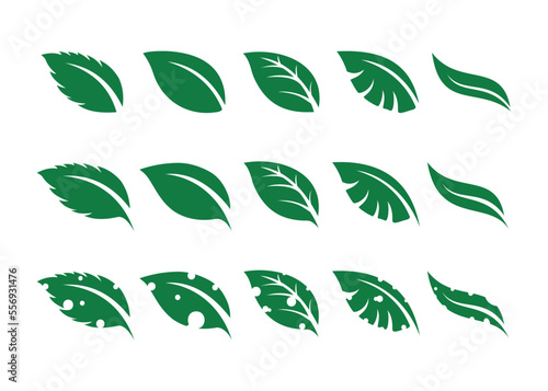 leaf vector for nature, leaf Icon Eps, leaf icon, vector leaf, leaf logo, logo leaf, leaf pack, leaf icon pack in green color