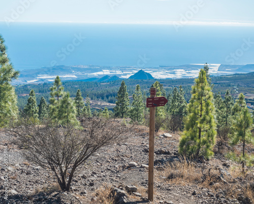 Red tourist signpost at volcanic landscape and lush green pine tree forest at hiking trail to Paisaje Lunar volcanic rock formation at Teide national park, Tenerife Canary islands, Spain photo